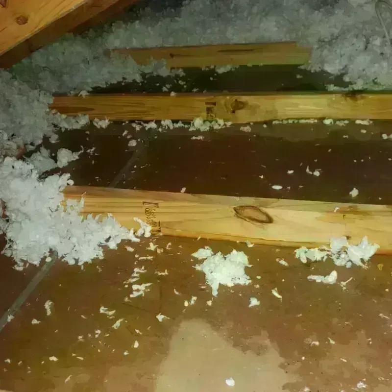 Attic Water Damage in Warren, OR