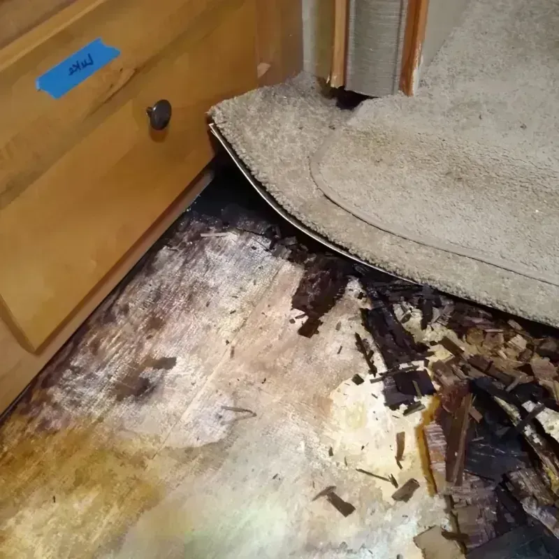 Wood Floor Water Damage in Warren, OR